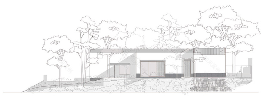 Malvas 59住宅丨墨西哥丨Estudio Radillo Alba-49