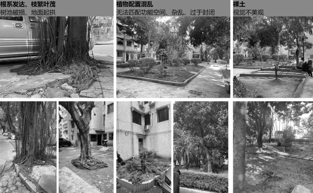 中山市东区街道2023年度老旧小区改造及沿街立面修整工程设计丨中国中山丨同济大学建筑设计研究院（集团）有限公司建筑设计四院-9