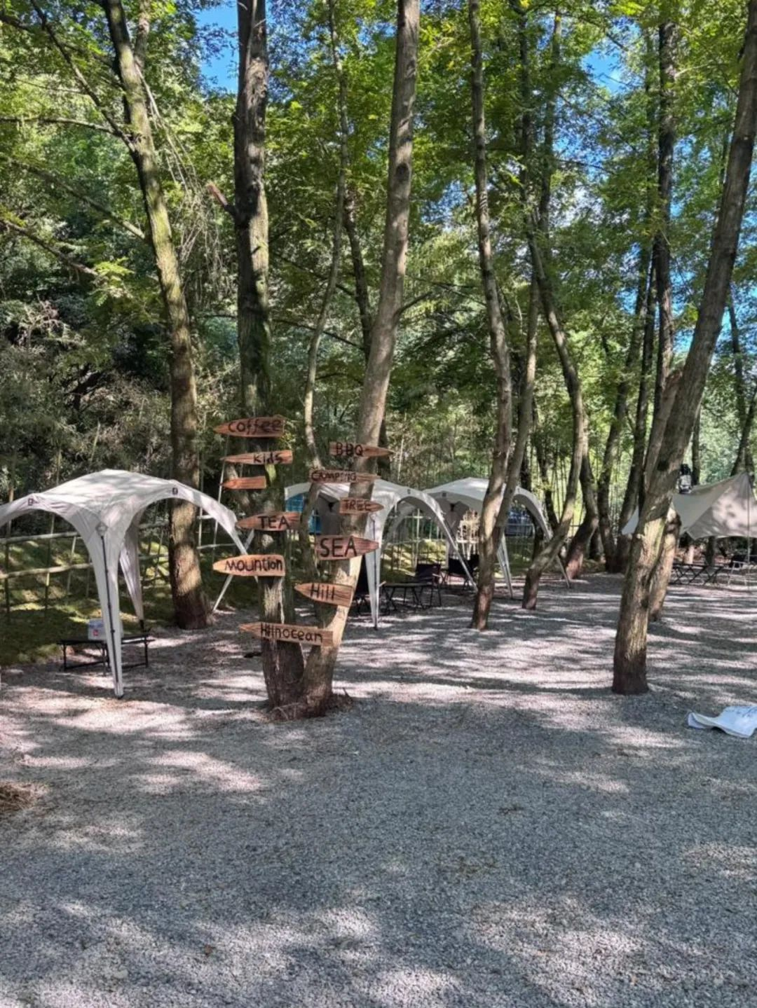 暑假背提-湖州&宣城搭建回顾|从露营地木构到茶山森林装置，探索自然与建造的共生-93