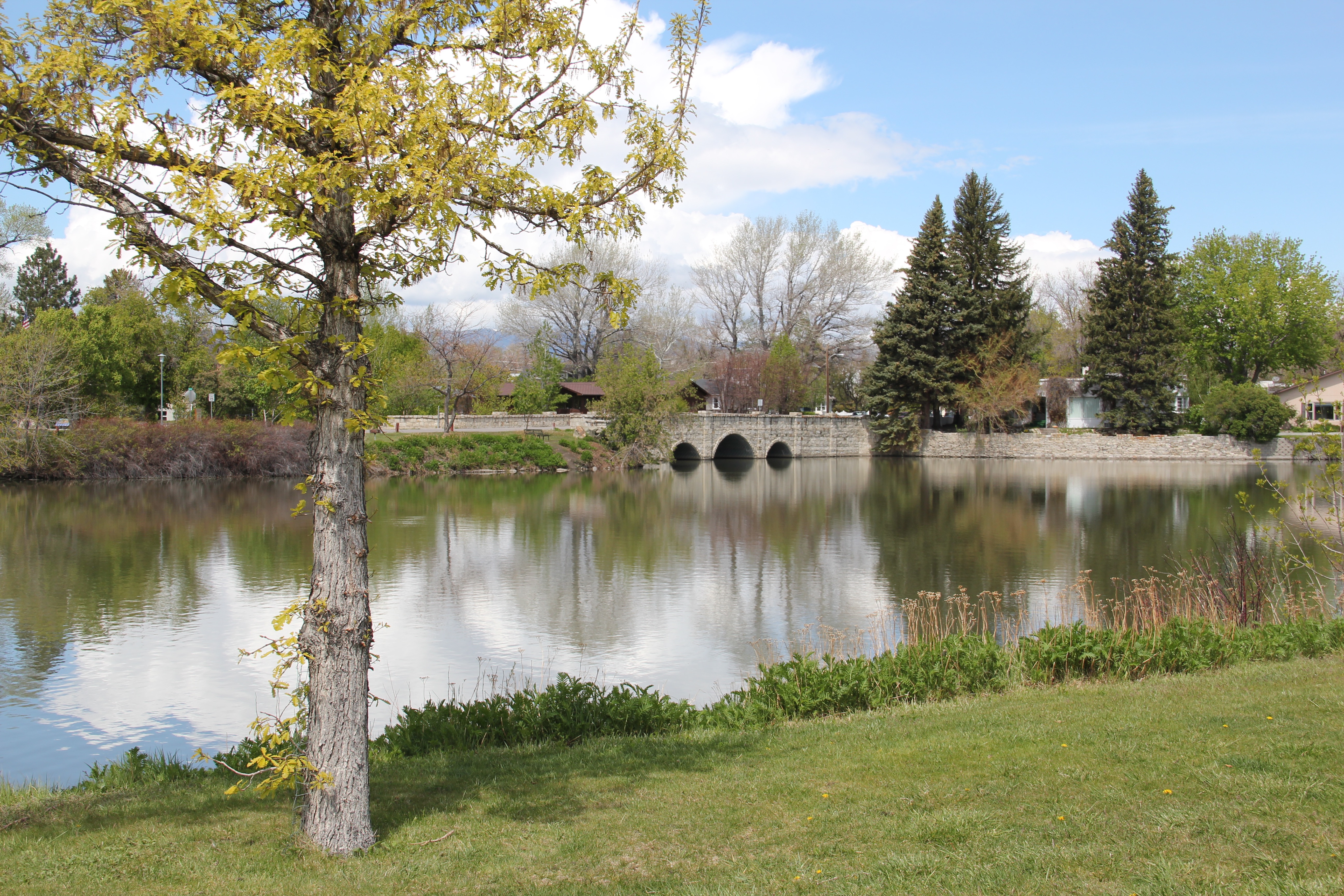 Livingston镇河边区域改造项目丨美国蒙大拿-2