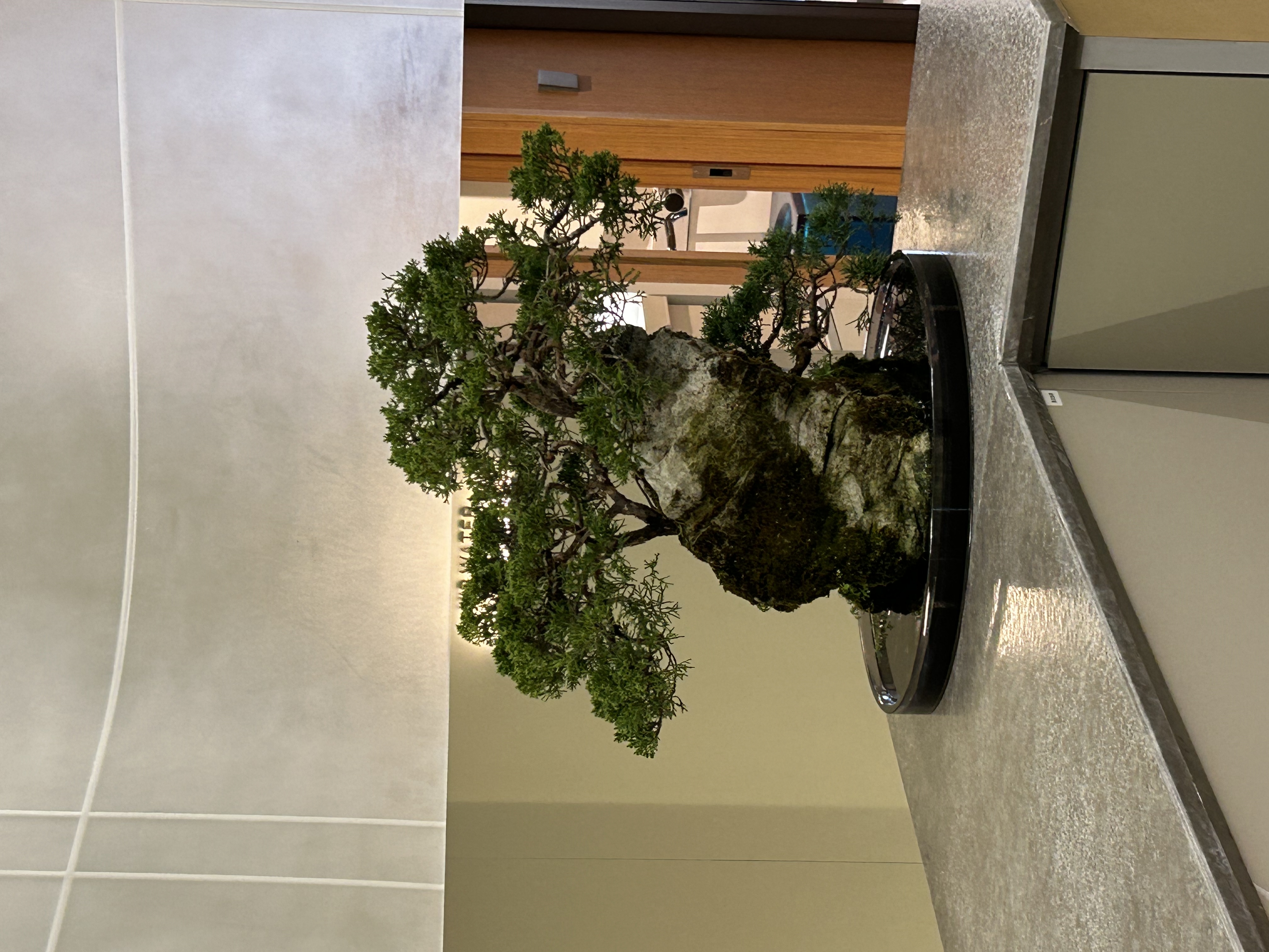 北京颜格医美 | 用和纸树脂板打造朦胧美-5