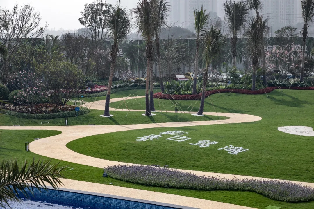 北海彰泰白鹭湾示范区景观-28