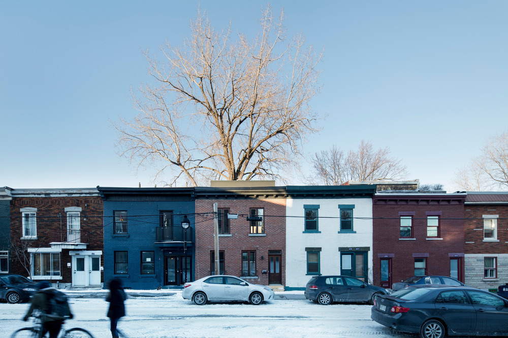 百年老屋与古树的共生对话-17