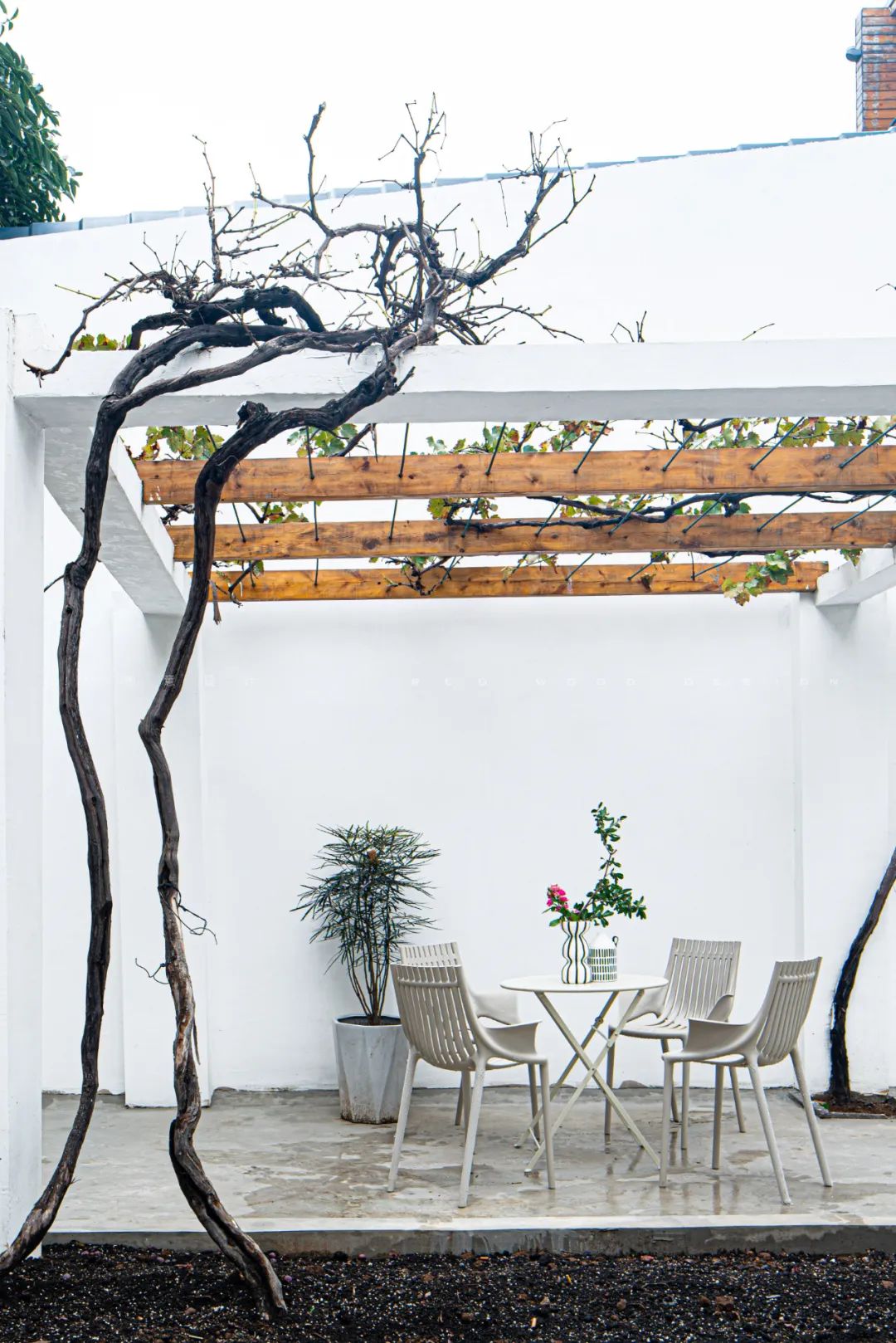 骊山乡宿重生记 | 旧房变身高颜值乡宿-28