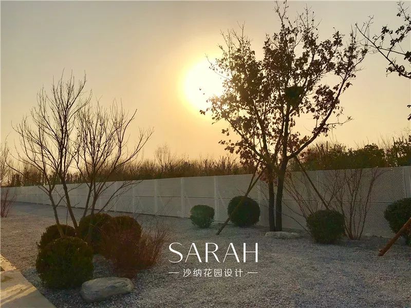 高技术与高颜值的京东"未来“植物工厂-26