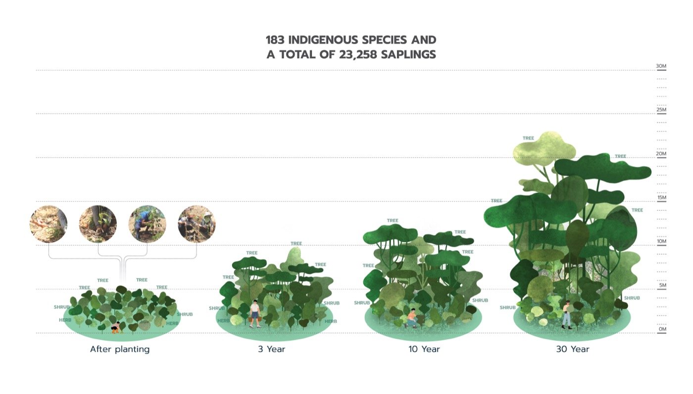 泰国森林别墅丨TK Studio-6