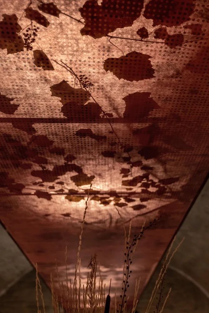 深吧丨YOD Group-20