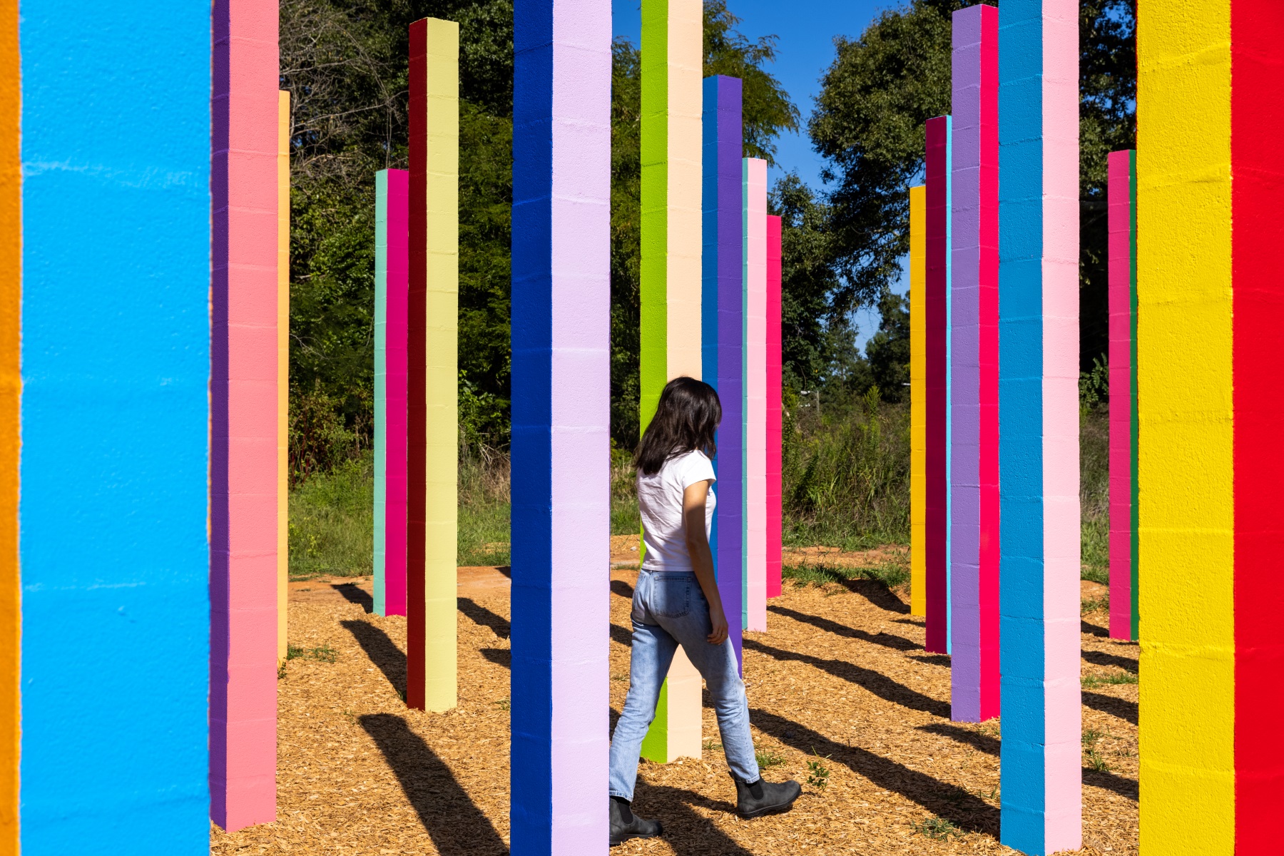 彩虹森林丨美国丨Office Kovacs-22