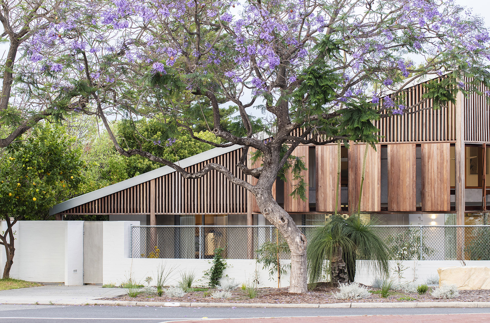 Macdonald Road 住宅丨澳大利亚珀斯丨Philip Stejskal Architecture-8