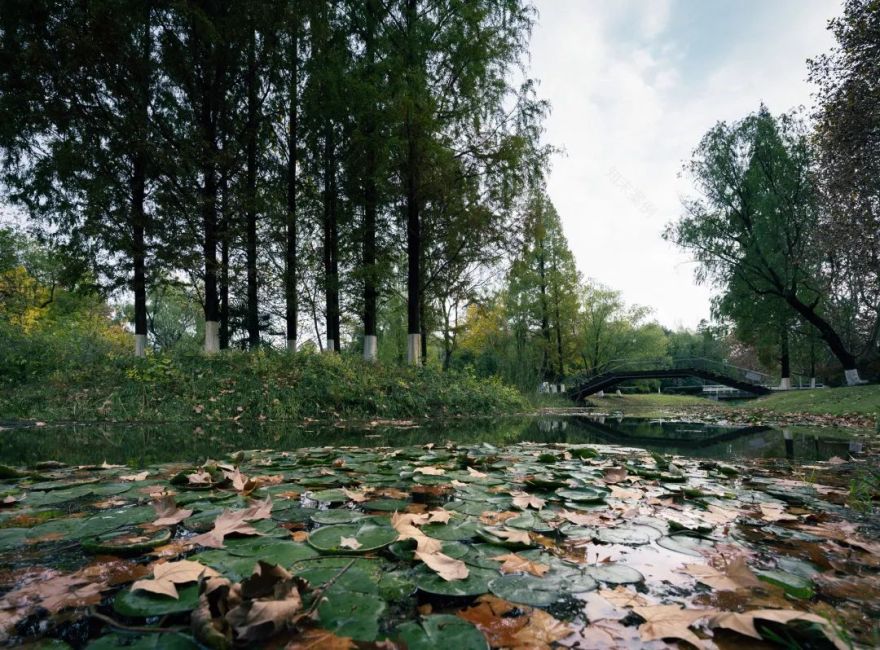 南京绿博园地段建筑小品设计竞赛 | 渠园·微筑-49