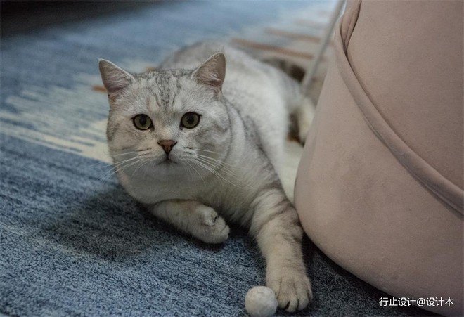 13万元二居60平米装修案例-14