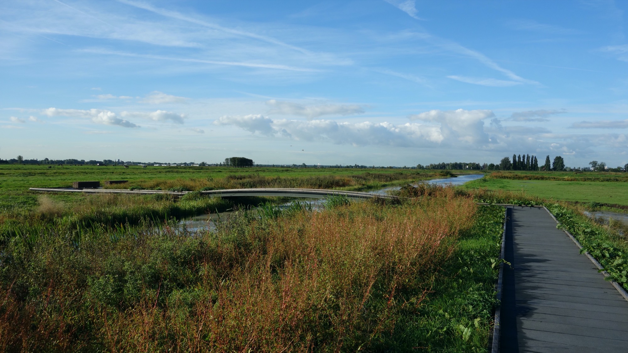 豪达东开拓地公园-0