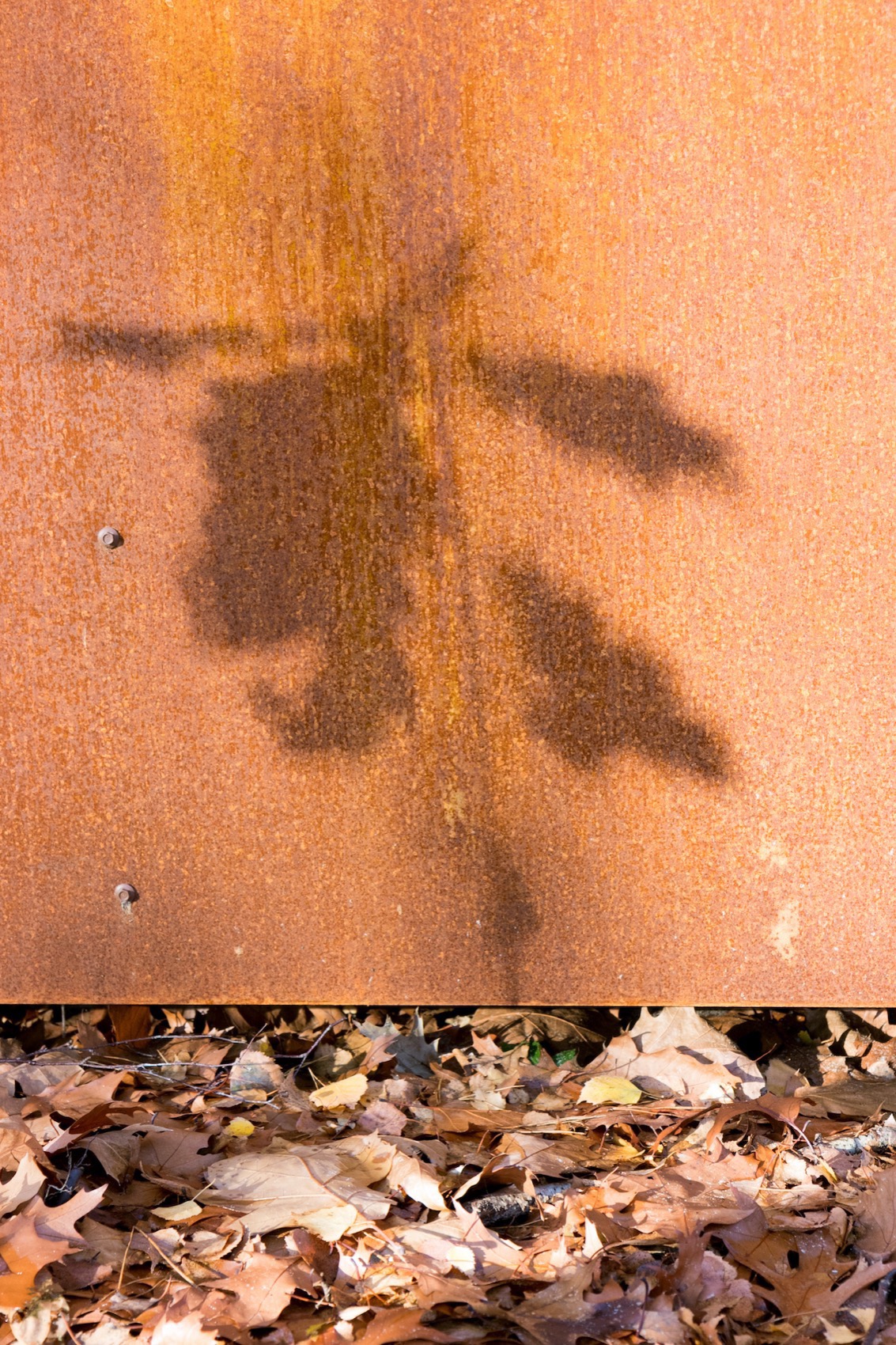 钢屋丨荷兰丨GetAway Projects-14