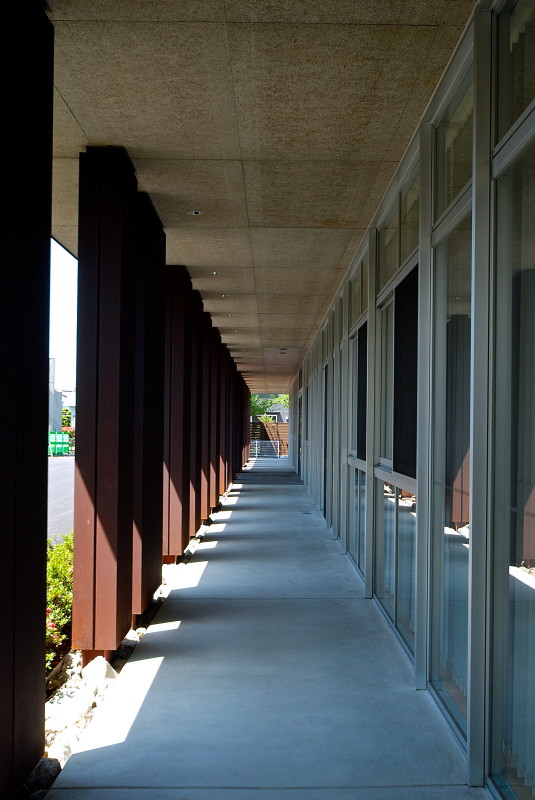 岡田整形外科 #126丨日本丨iwano + COGITE設計共同体-31