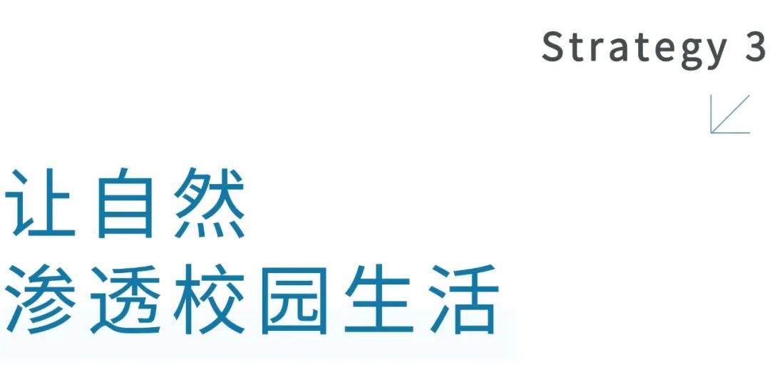 中学校园，设计样板：30班规丨中国杭州丨GLA建筑设计-13