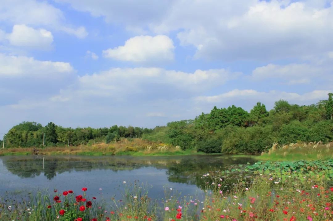 穿过喧嚣 走进时光·来高淳东坝看美丽乡村-18