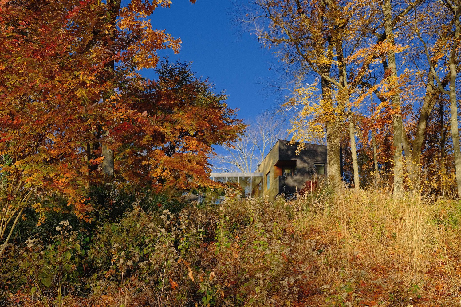 美国普林斯顿 La Clairiere 住宅丨Studio PHH Architects-10