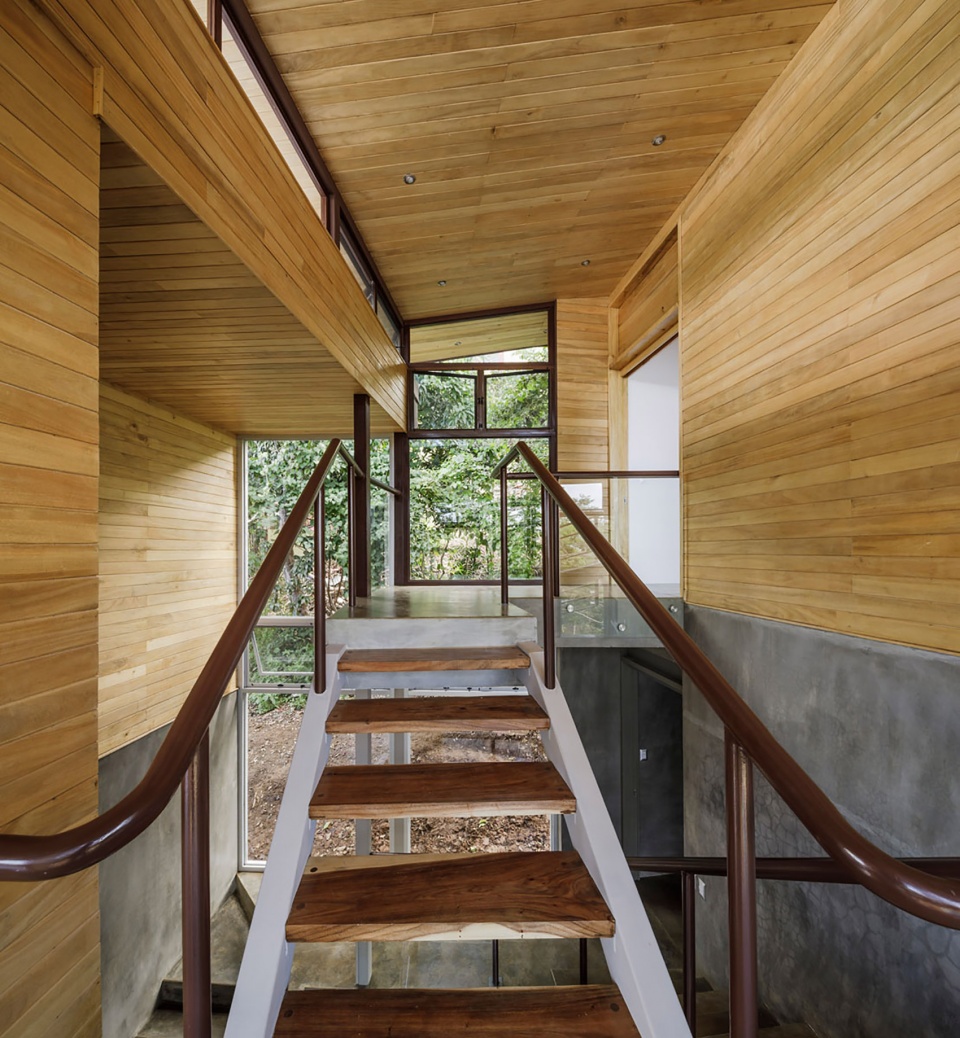 哥斯达黎加“树冠住宅”-30