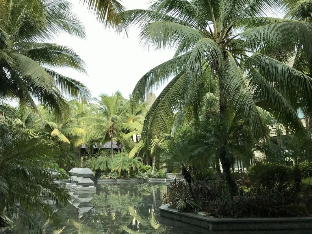 国内首家莱佛士酒店-42