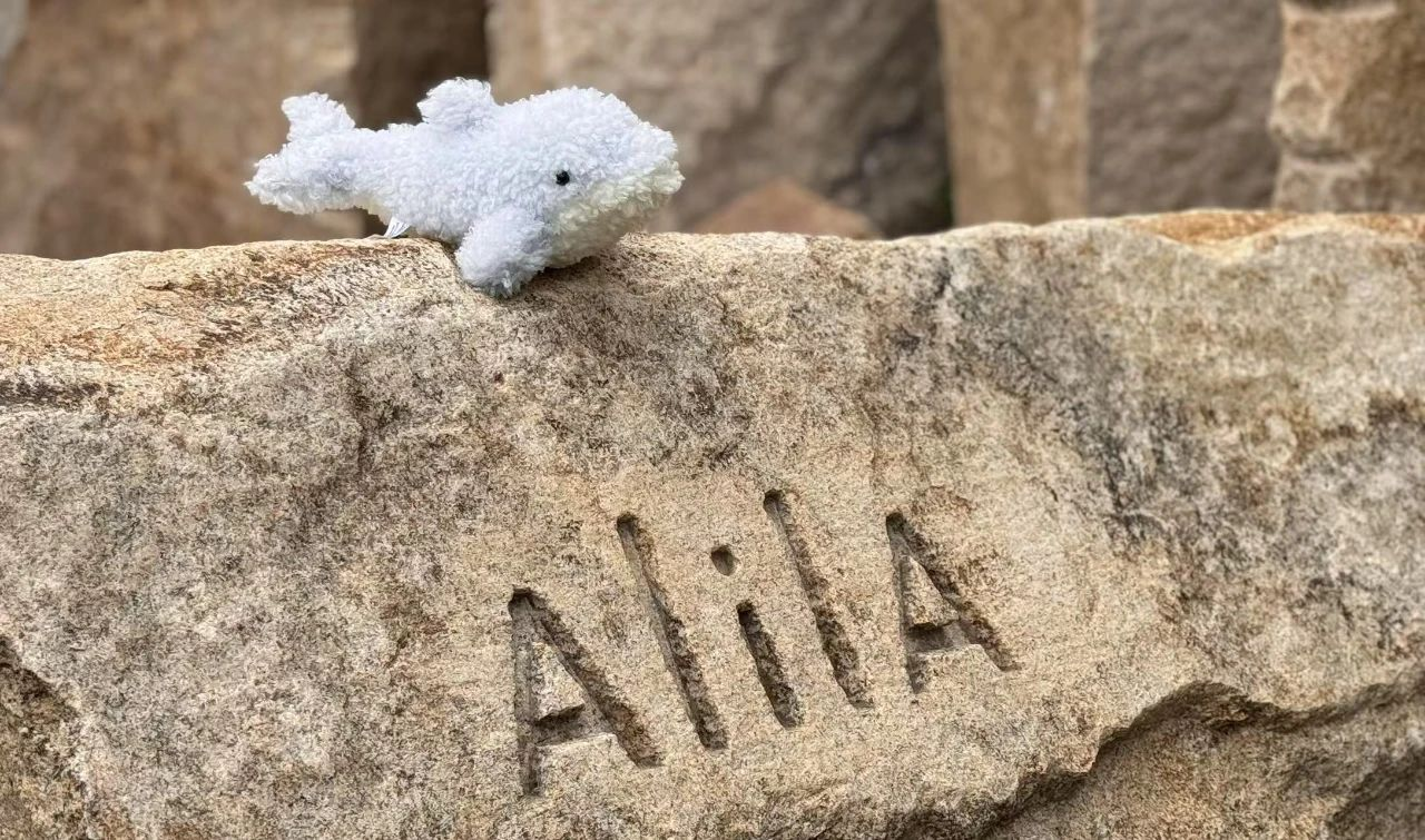 阿丽拉珠海东澳岛酒店丨中国珠海丨HSD水平线设计-191