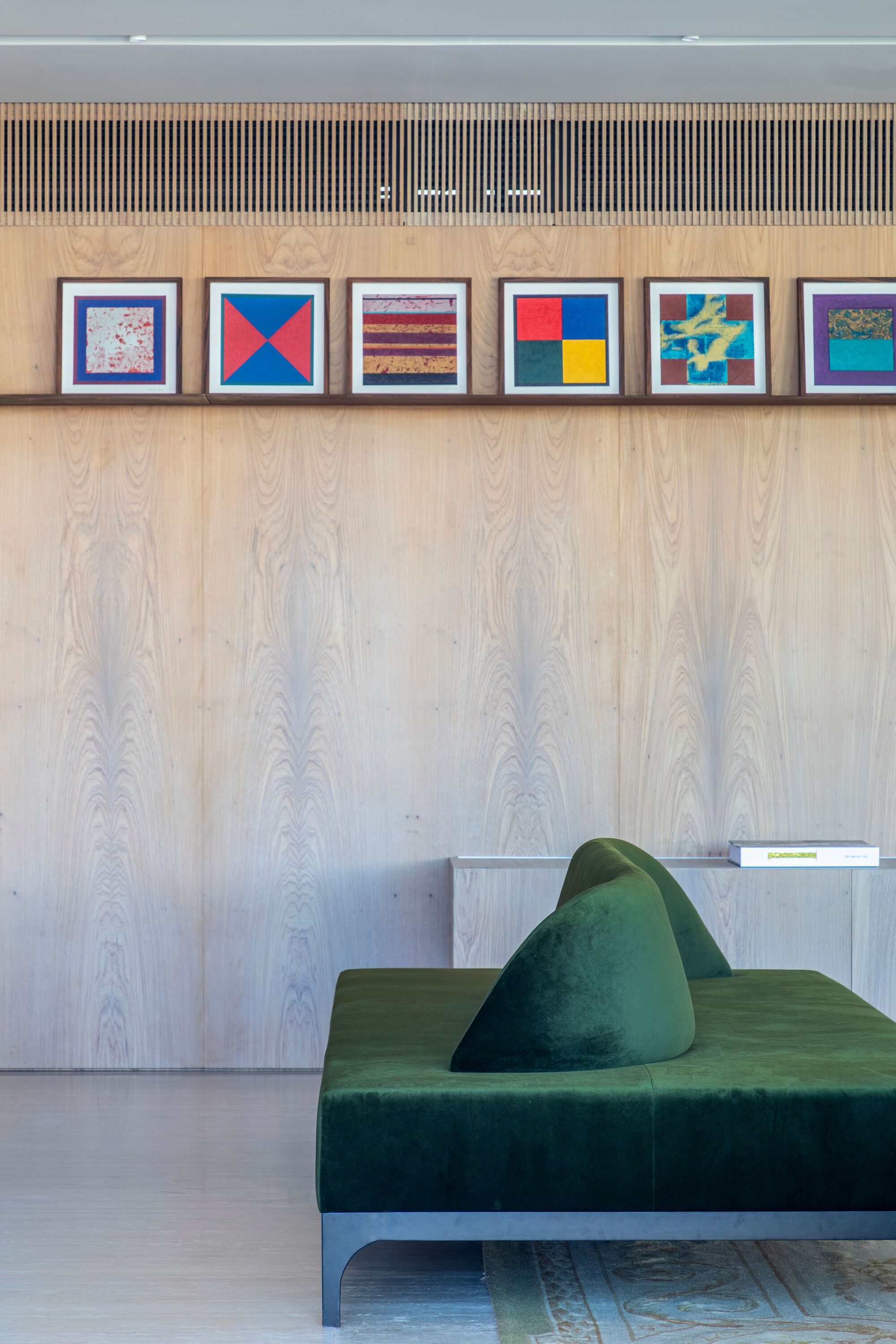 M+S 别墅丨巴西圣保罗丨Solange Cálio Arquitetos-17