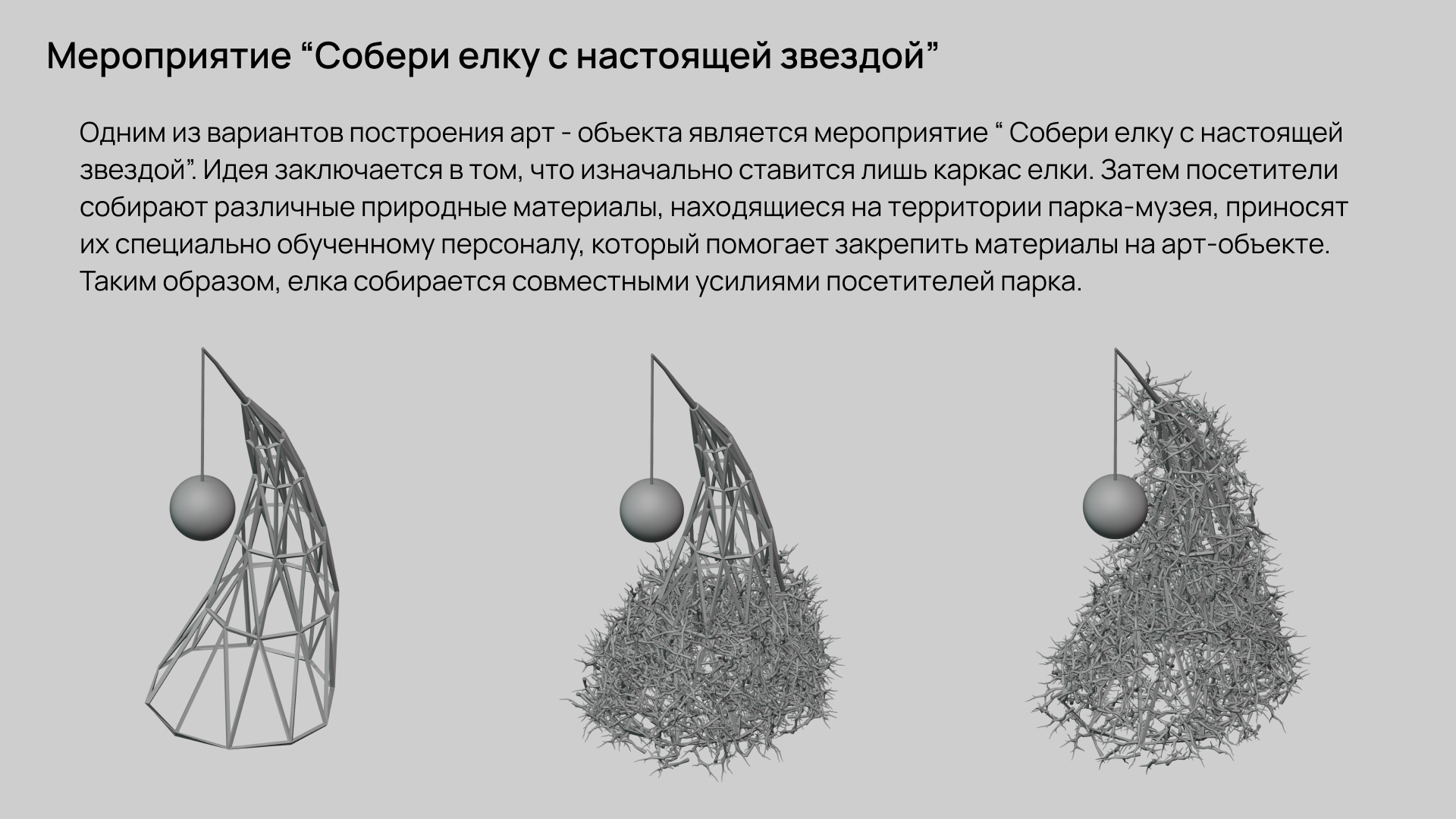 Arkhangelsk自然保护区公园“带真星星的圣诞树”项目-8