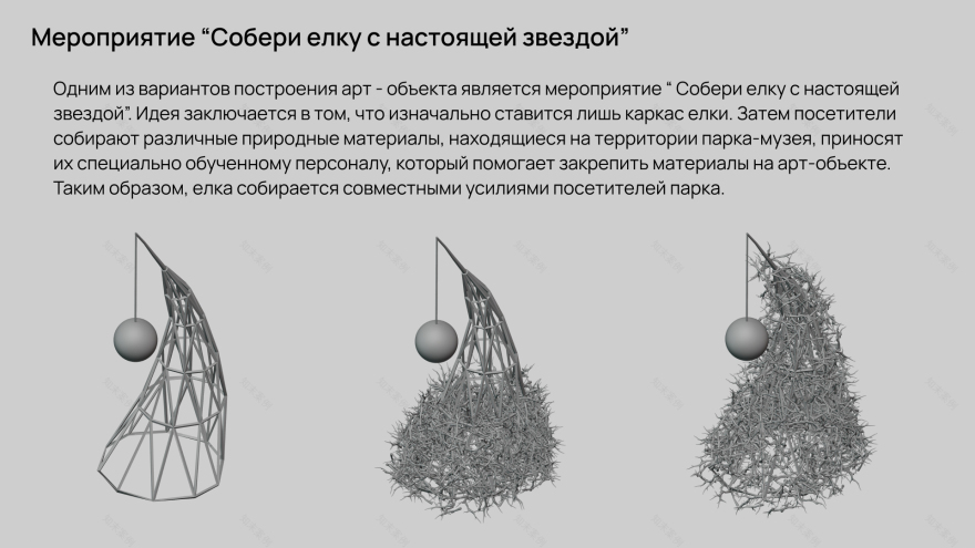Arkhangelsk自然保护区公园“带真星星的圣诞树”项目-8