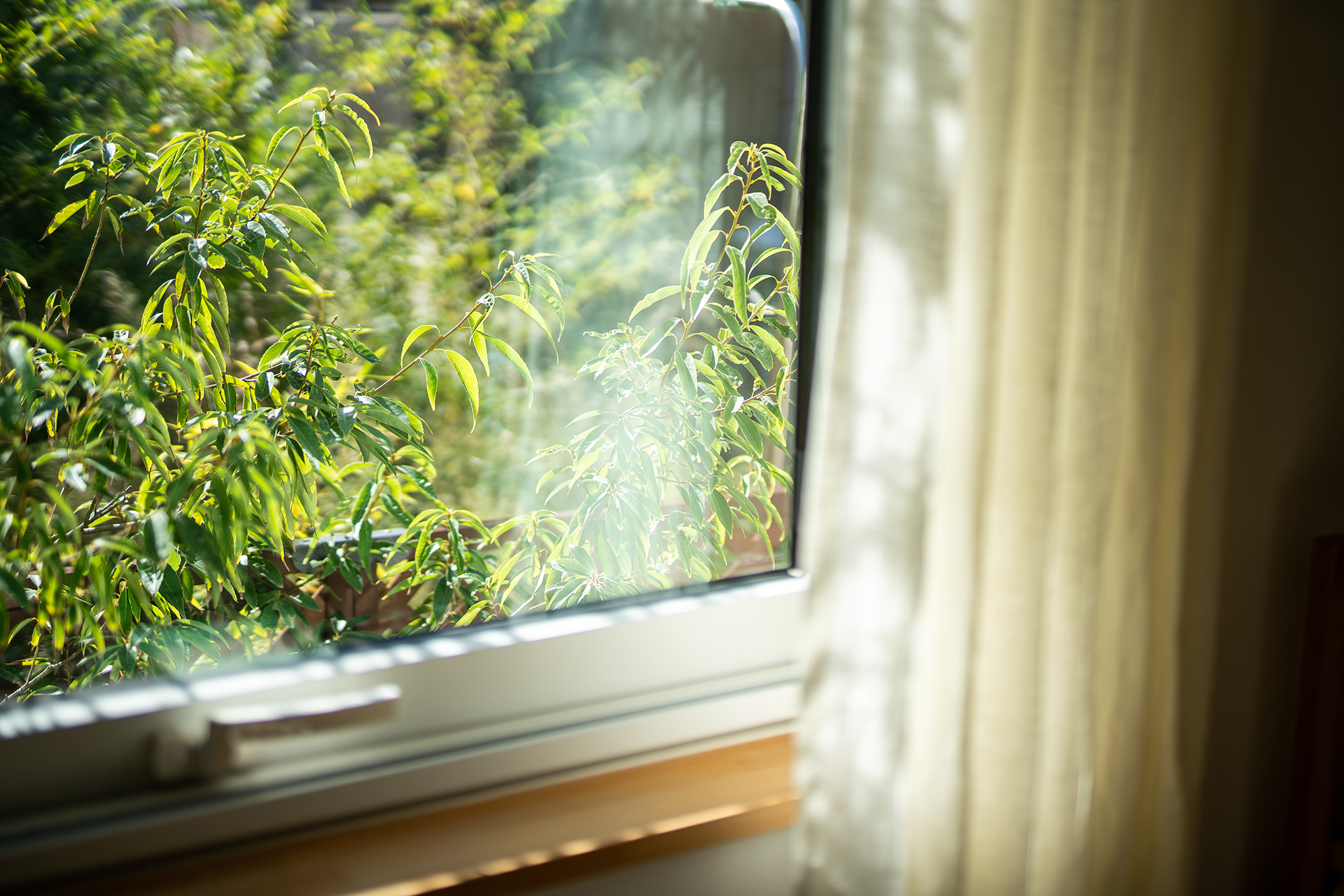 加藤淳設計事務所×Ag  工務店 T邸丨日本新潟丨株式会社加藤淳設計事務所-84