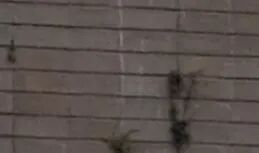 良友公寓保护修缮工程丨中国上海丨华东建筑设计研究院有限公司历史建筑保护设计院-49