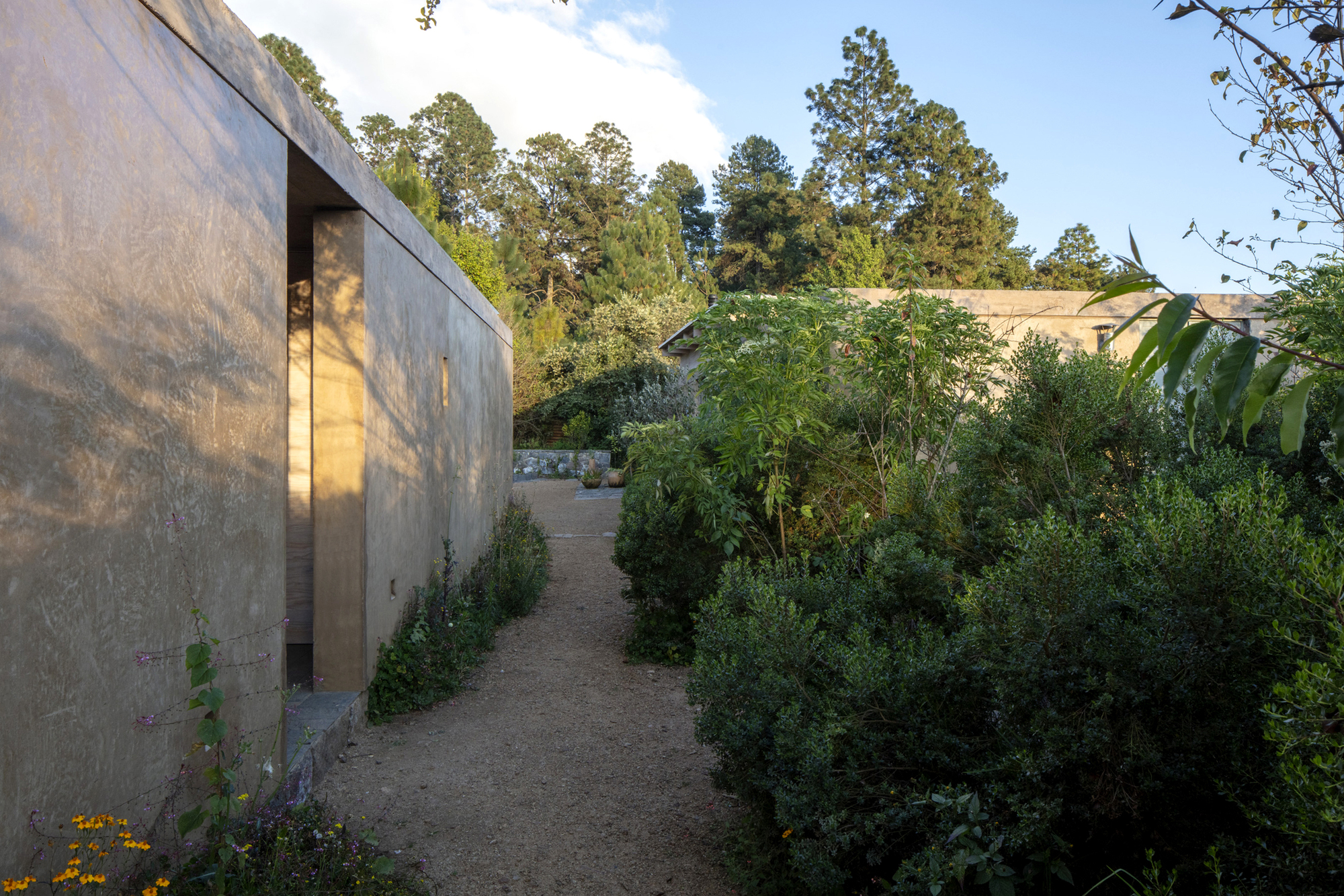 丨墨西哥丨Claudia Rodriguez,Louise Rouzaud-26