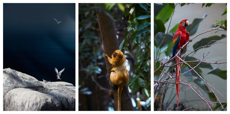 蒙特利尔生物馆改造项目丨加拿大蒙特利尔丨KANVA,与NEUF architect(e)s等合作-86