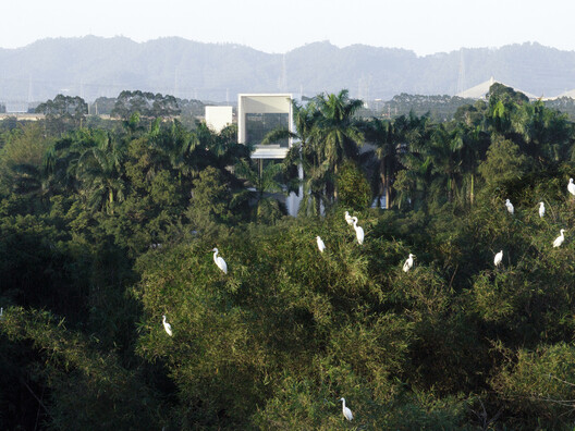 顺德云鹭湿地博物馆丨中国佛山丨Link-Arc建筑事务所-48