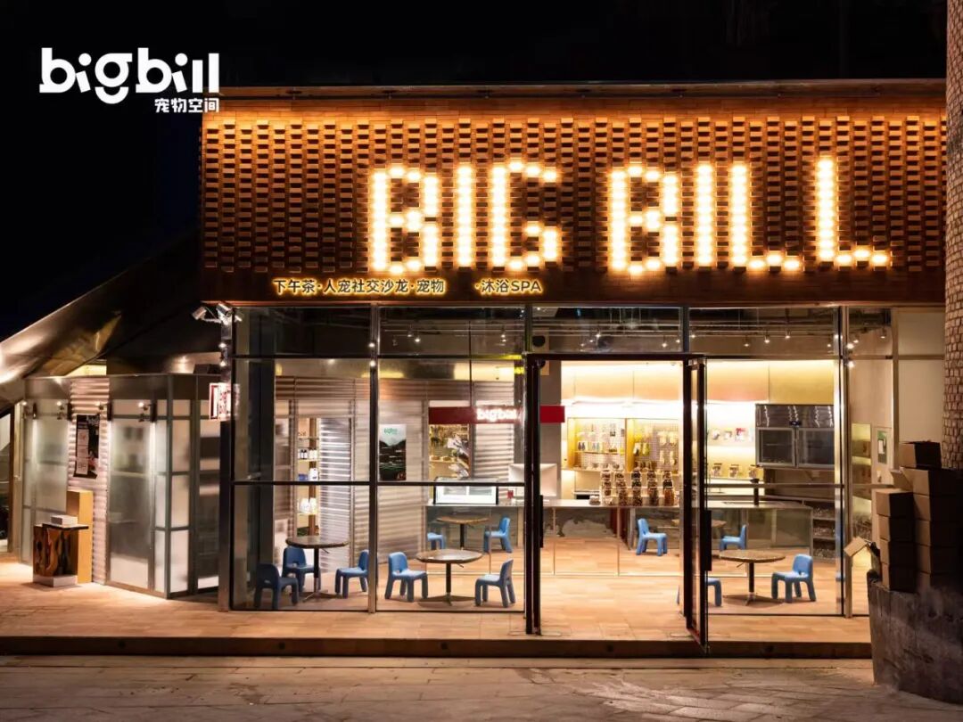 立衡中灯光实景xBIGBILL宠物店-2