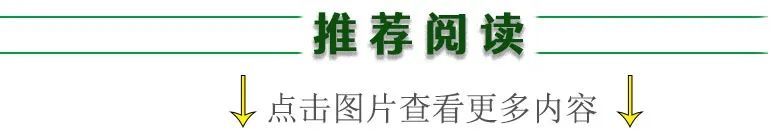 合肥玫瑰园 170㎡现代轻奢风家居,演绎简约生活美学-35