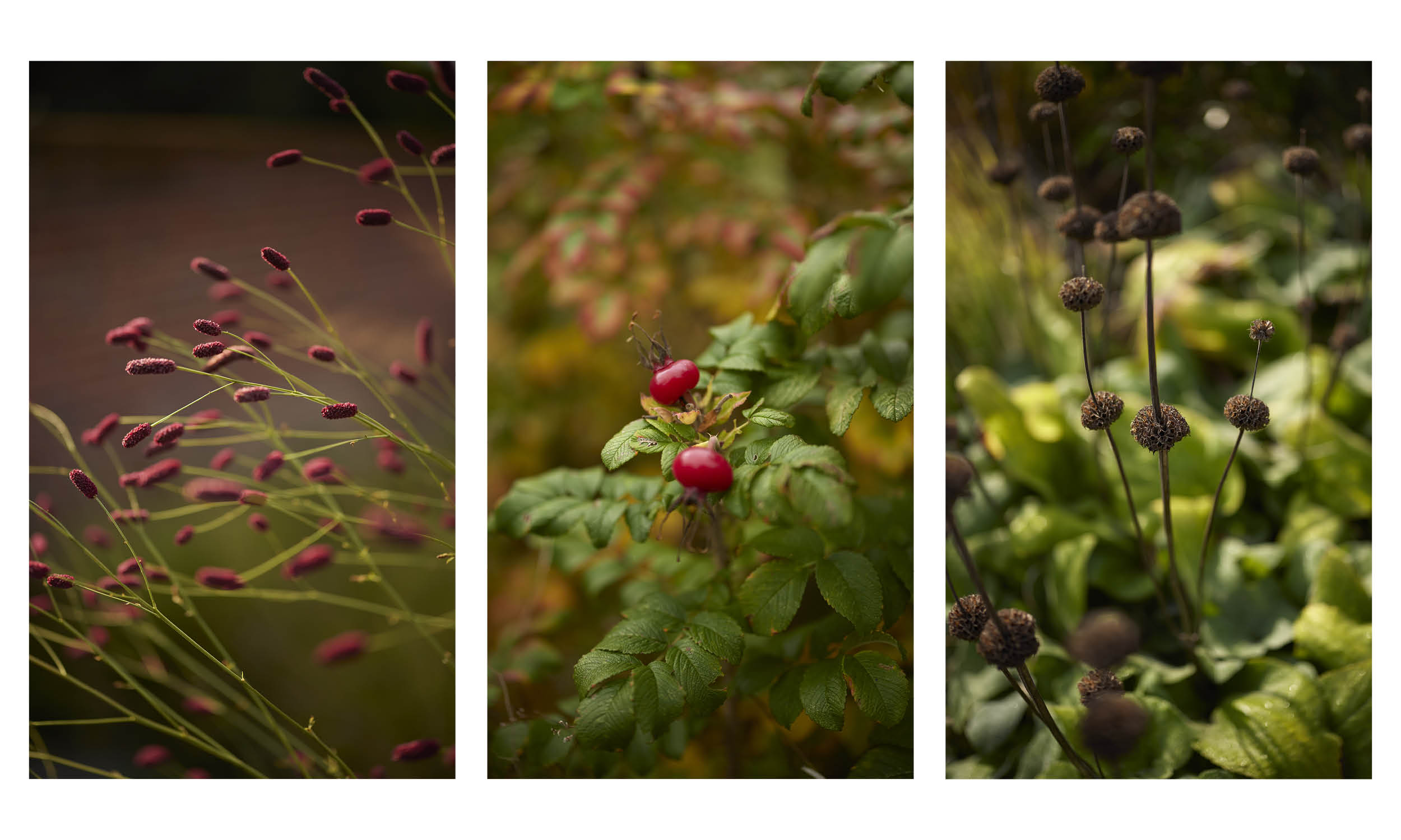 荷兰世园会  自然之境丨荷兰阿尔梅勒丨Stefano Marinaz景观公司（SMLA）-129