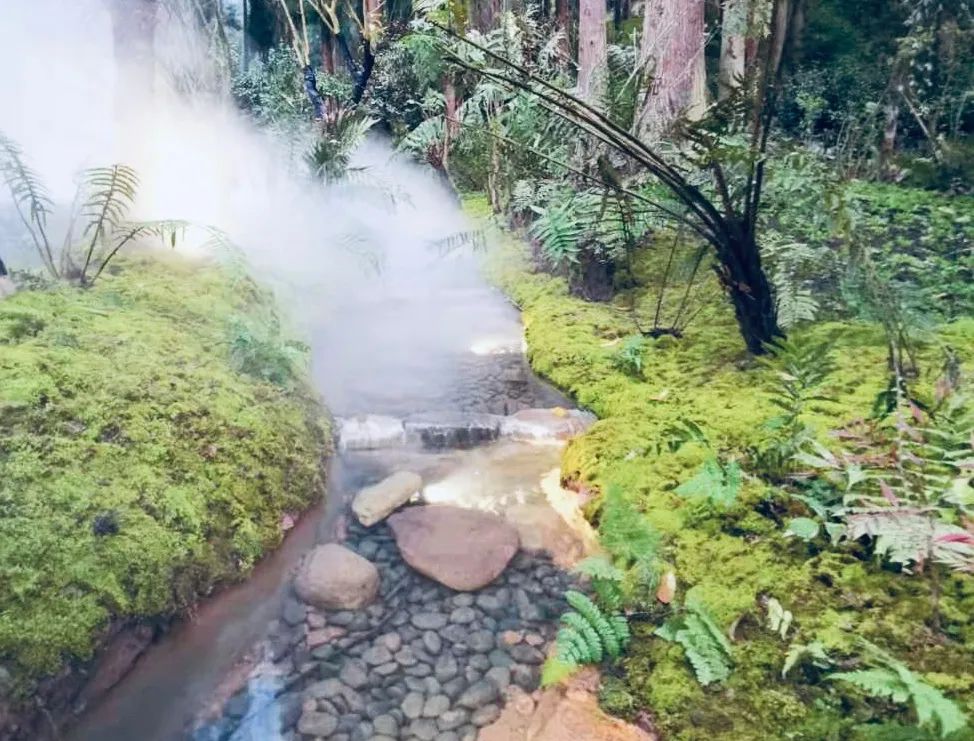 瓦屋山小石泉 | 巨石泡池中的宁静诗篇-19