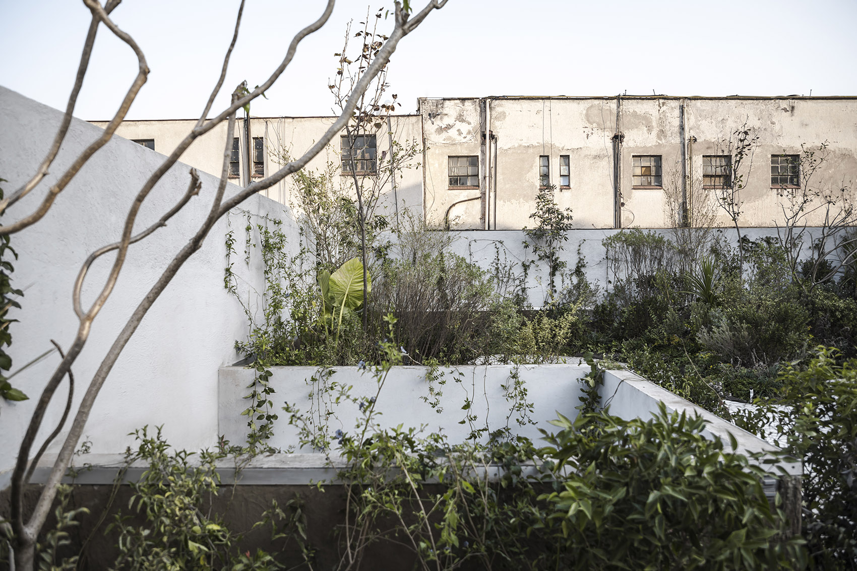 墨西哥城空中花园，Casa Verne / Zeller & Moye-11