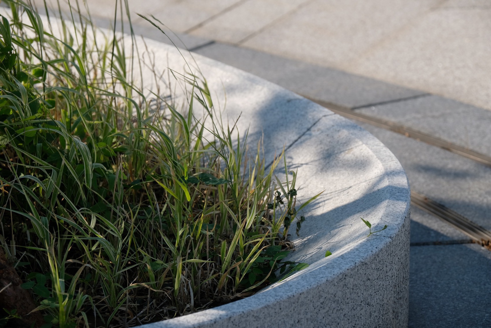 建筑“融于”景观·沈阳材料科学国家研究中心生长之园丨中国沈阳丨日本鹿岛建设株式会社,中国中建设计集团,R  land北京源树景观-31