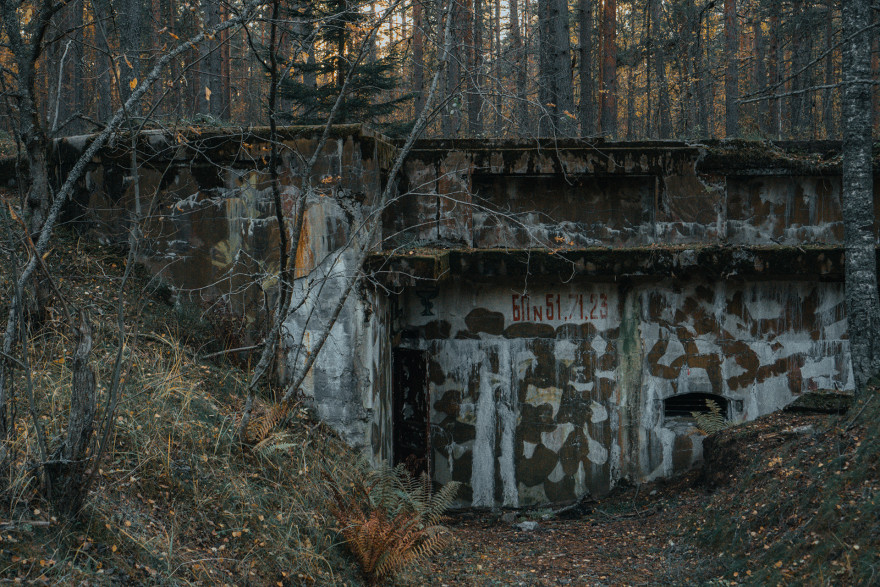 俄罗斯列宁格勒地区森林探险-11