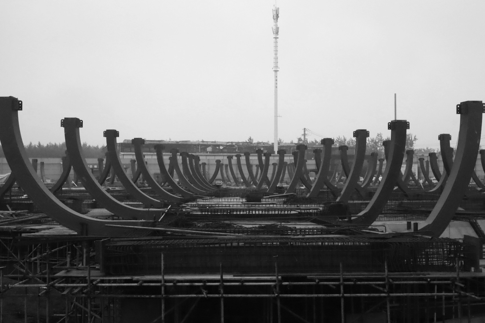 沉湖国际湿地艺术中心丨中国武汉丨迹·建筑事务所（TAO）-208