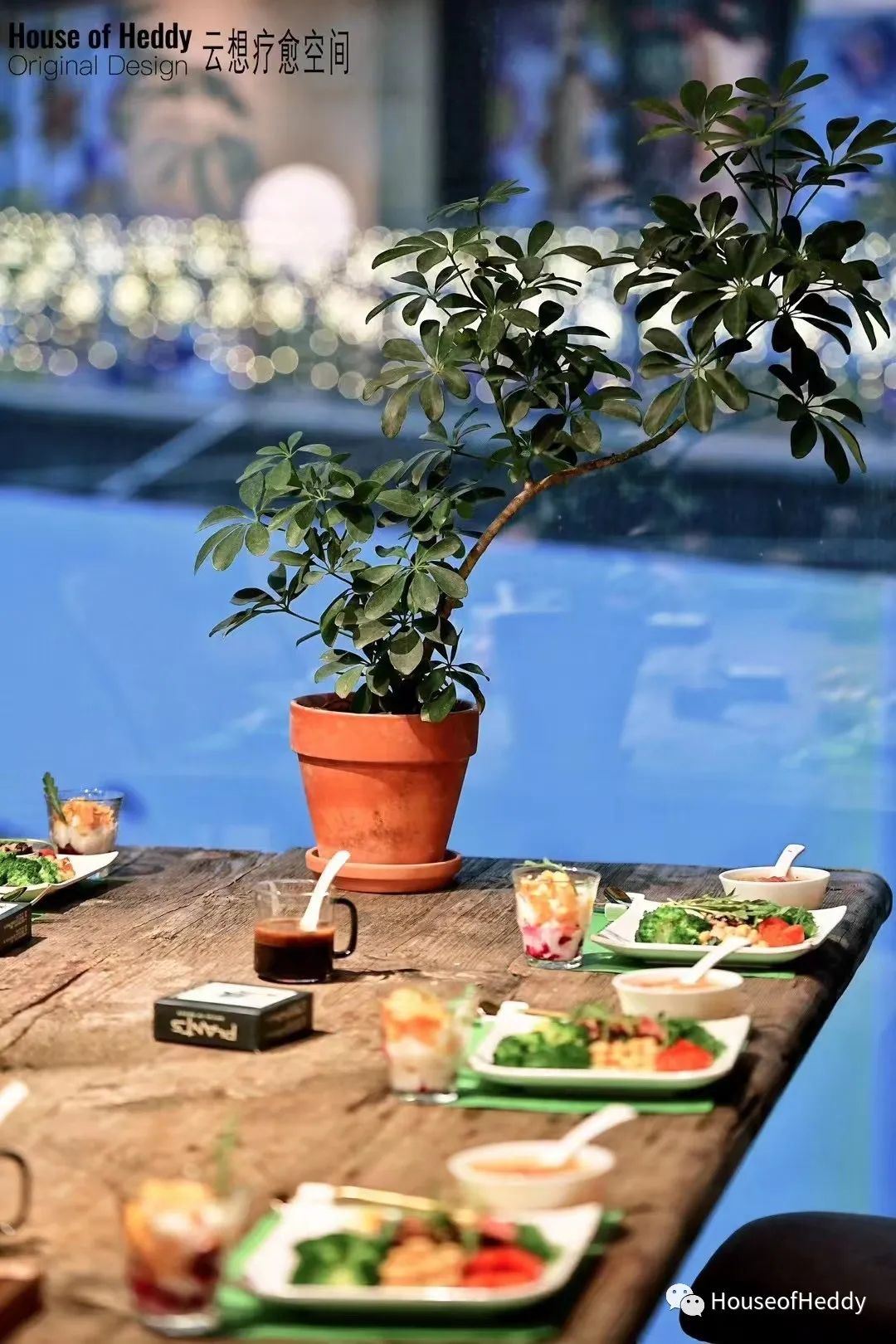 云想疗愈空间 | 遇见真我,在疗愈中寻找战胜自己的力量!-128