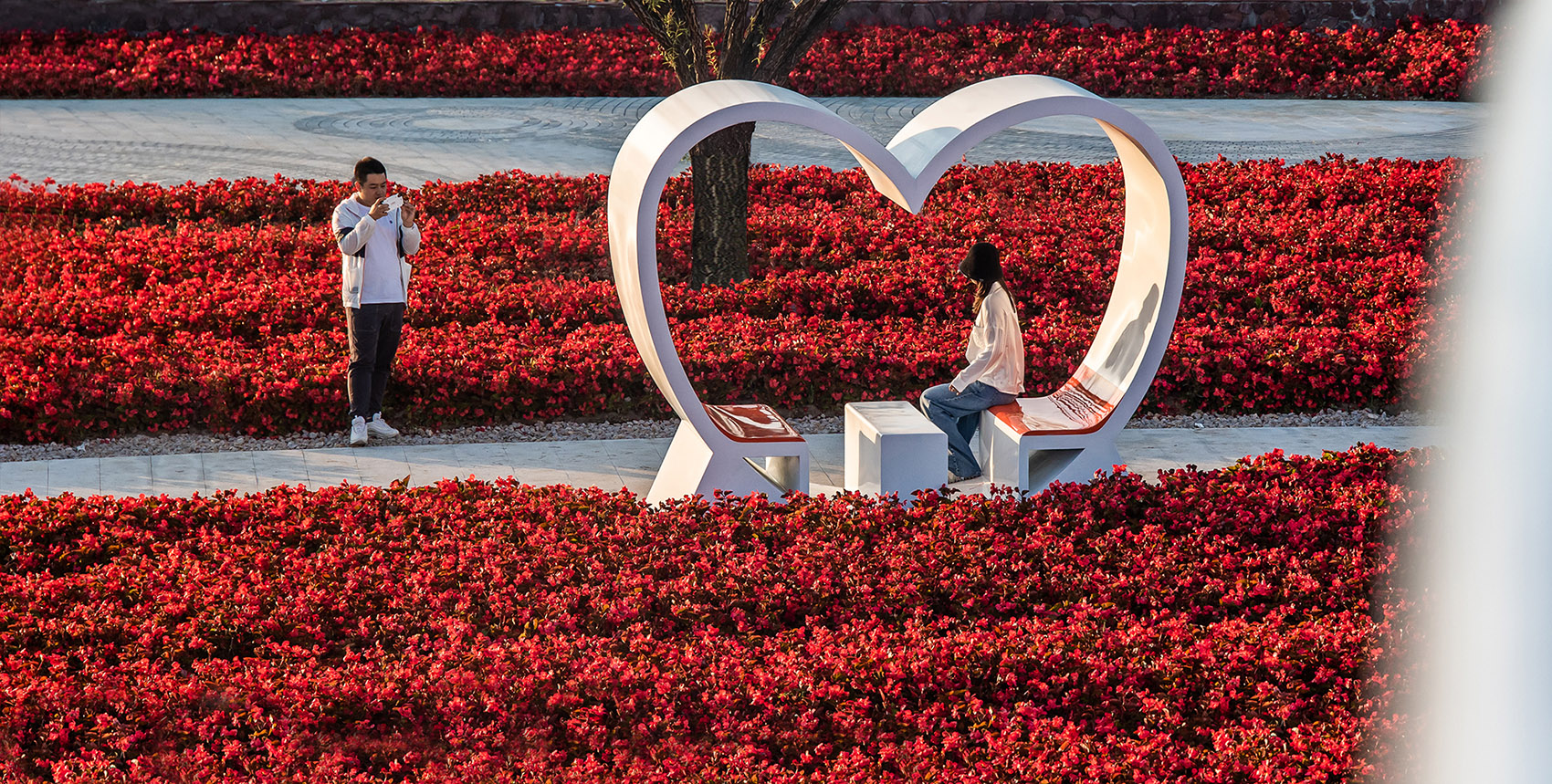 梅河口浪漫花海公园丨中国吉林丨麦田景观-73