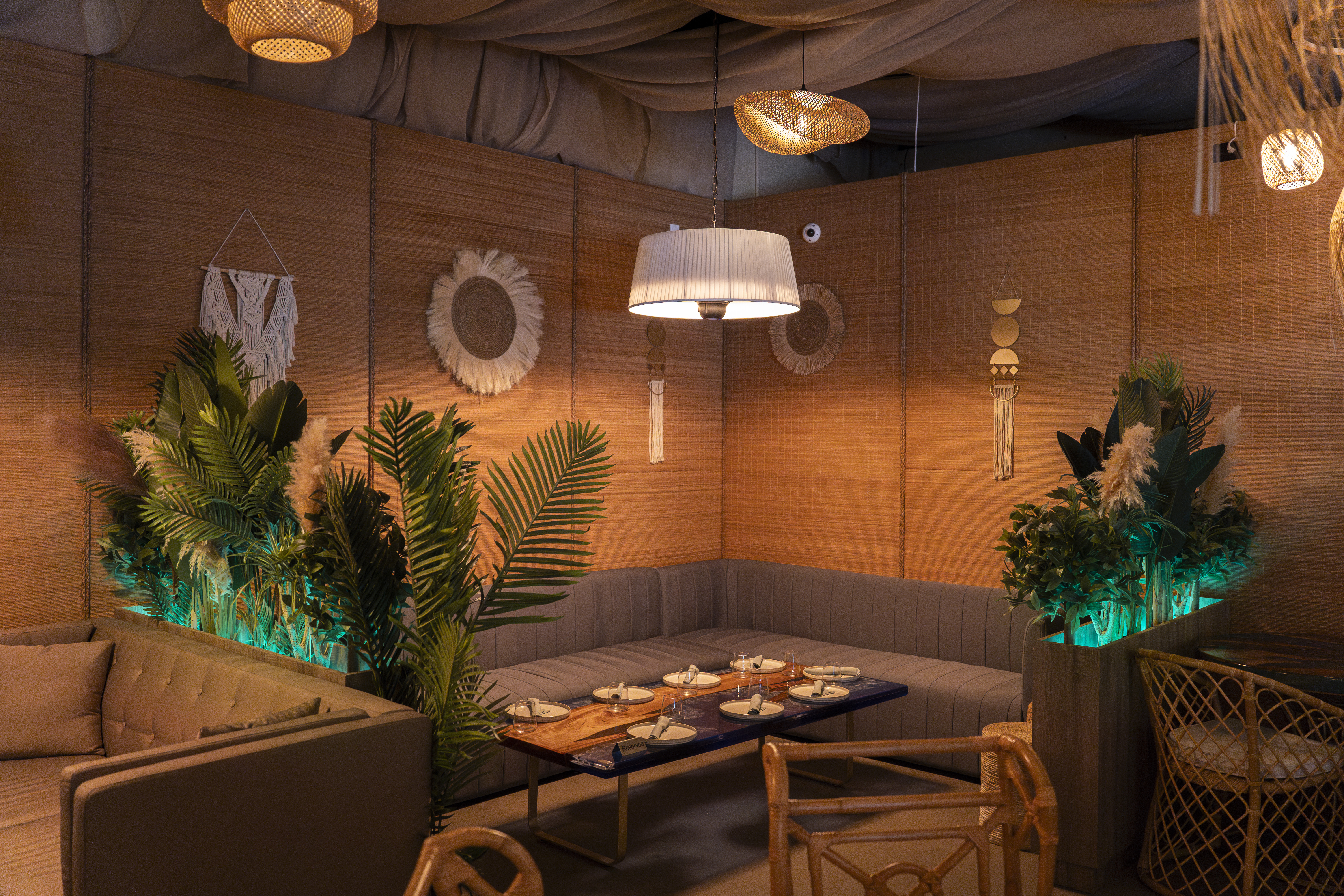 黑莓之乐丨AlgeriaOran-4