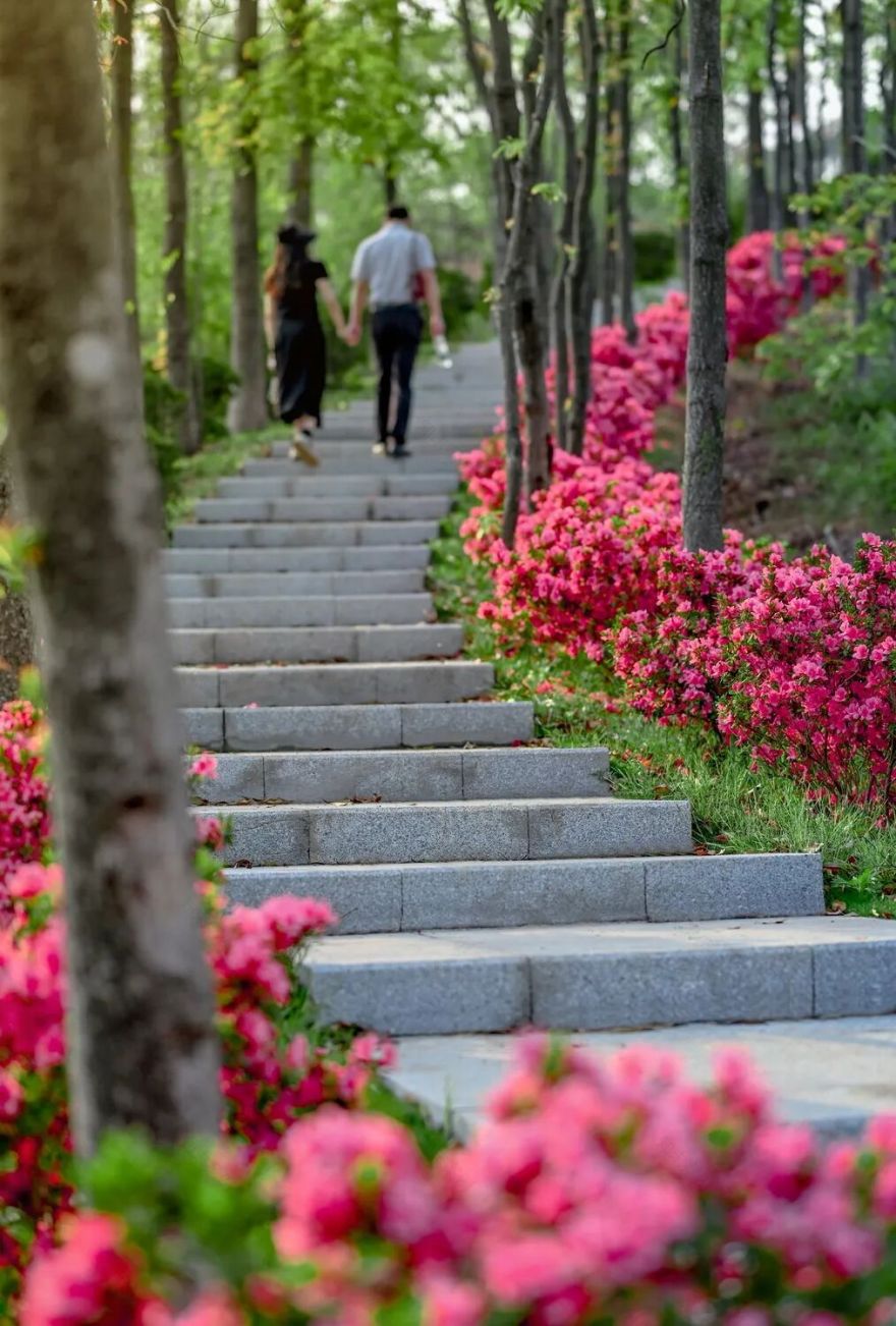 广宁竹海公园|构建绿美竹韵之路-72