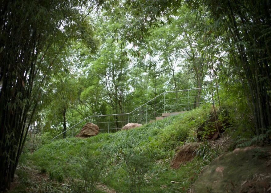 城市掌心的生态山野——麓野公园-131