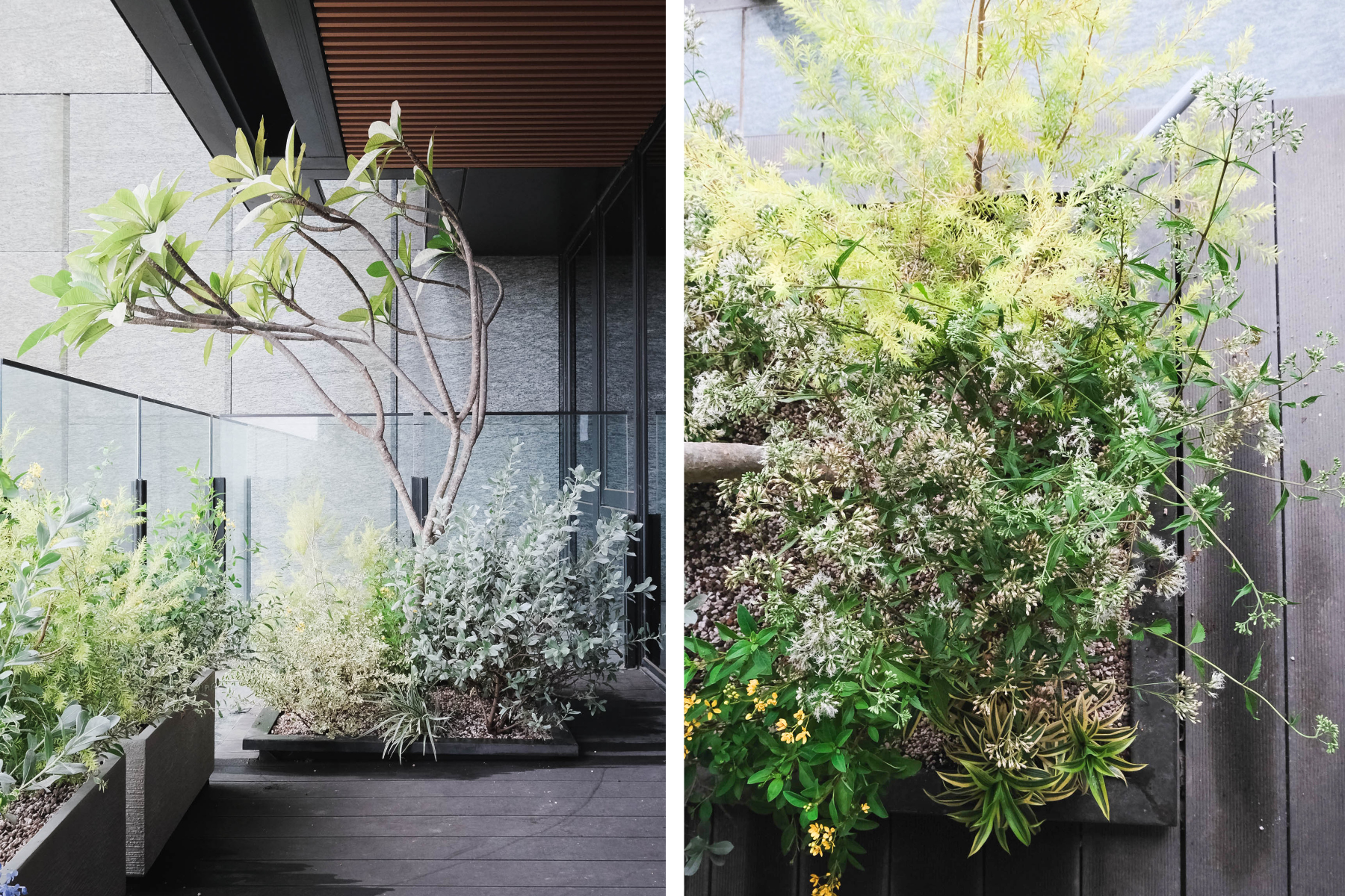 住宅案 | 中壢區 | 陽台景觀設計-6