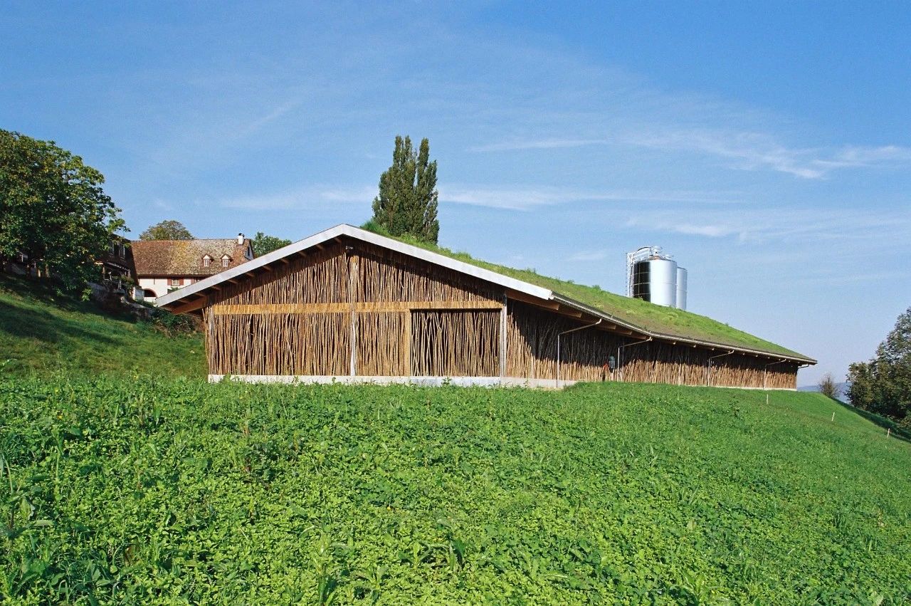 鸡舍丨土耳其埃尔津詹丨SO? Architecture and Ideas-105