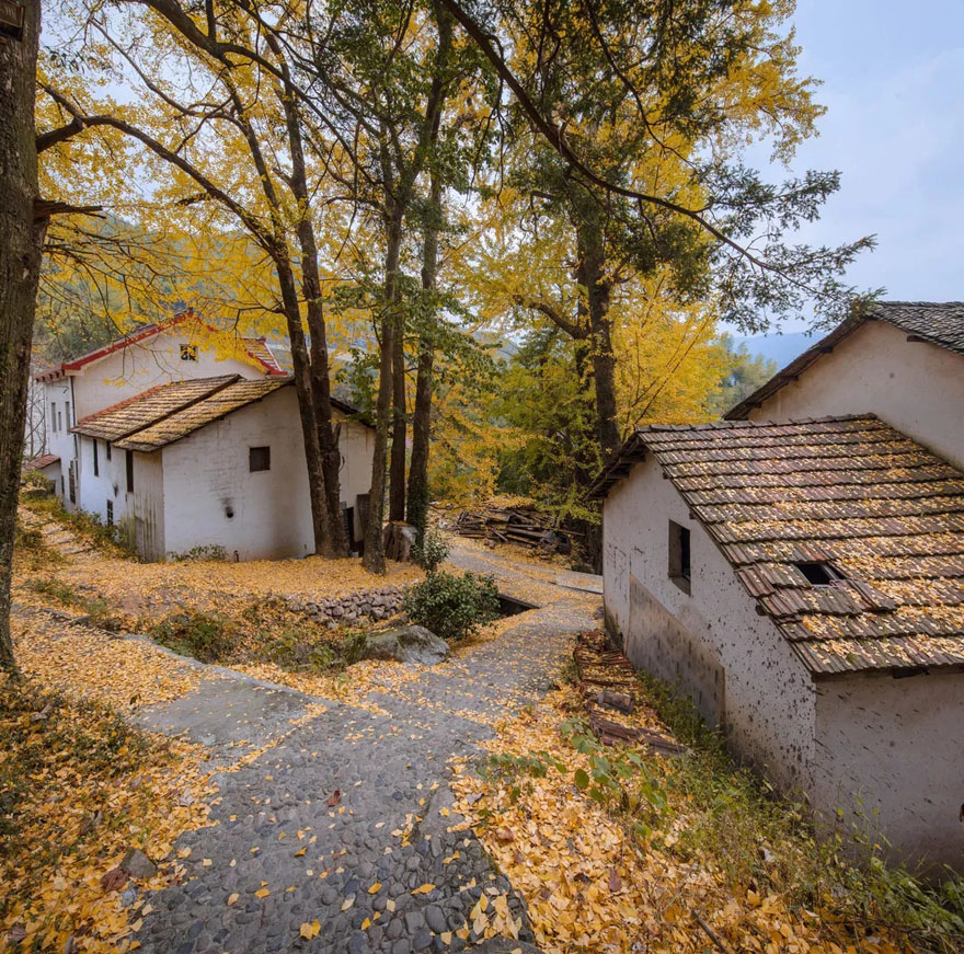 安吉迈岚度假酒店(MIRACLELAND HOTEL)-5