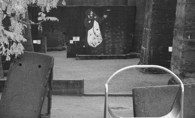 “老虎与乌龟”丨德国丨德国艺术家乌尔里希·根茨和海克·穆特-100