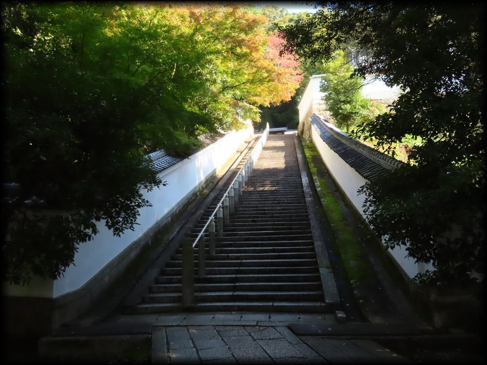 知恩院方丈庭園,山亭庭園丨日本京都丨僧·玉淵-47